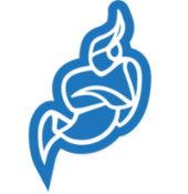 logo Jitsi